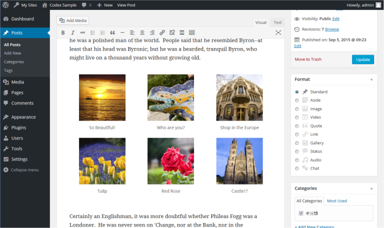 Gallery in the WordPress TinyMCE editor