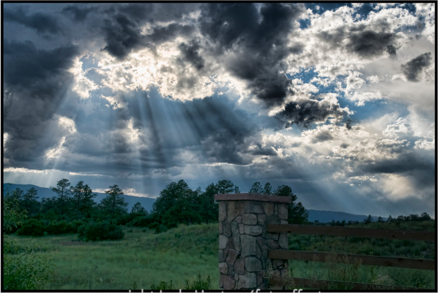 Preview of the embedded SmugMug post within the WordPress editor.