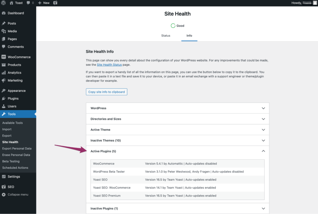 Active Plugins tab in Site Health Info Screen