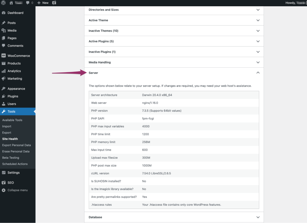Server tab in Site Health Info Screen