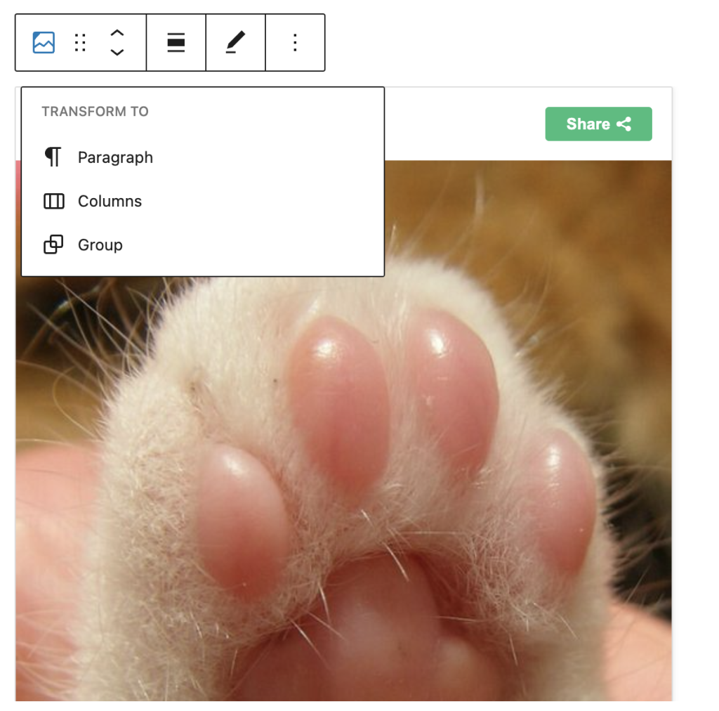 Transform tool in the Imgur Embed block