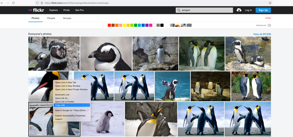 Choosing an image from Flickr
