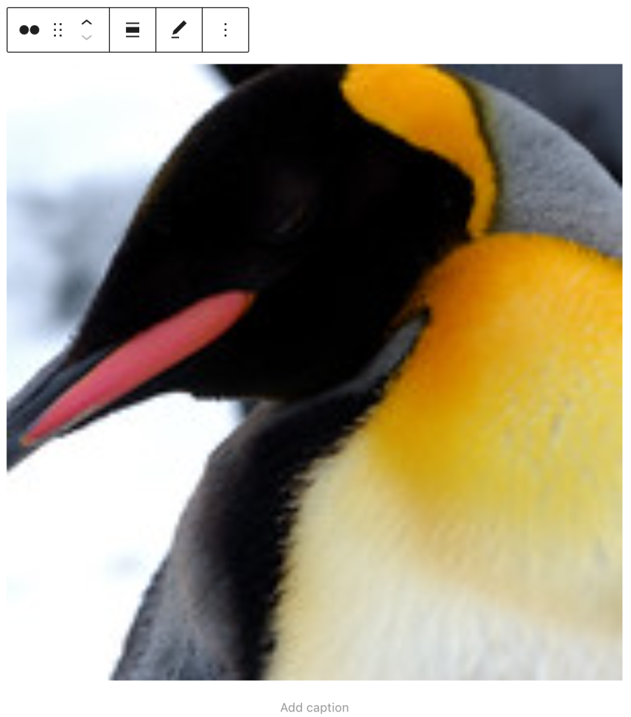 Example of an embedded Flickr block on the backend.