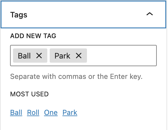 Tags in Settings sidebar