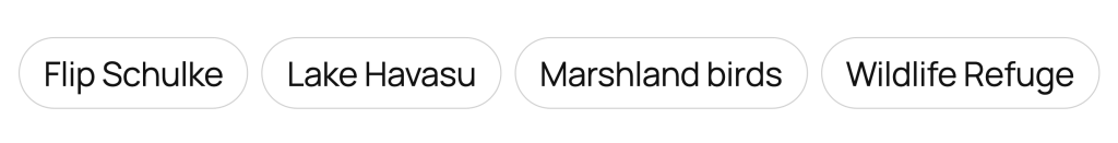 A preview of the custom style for the tags, where each tag has a light grey border with rounded corners.