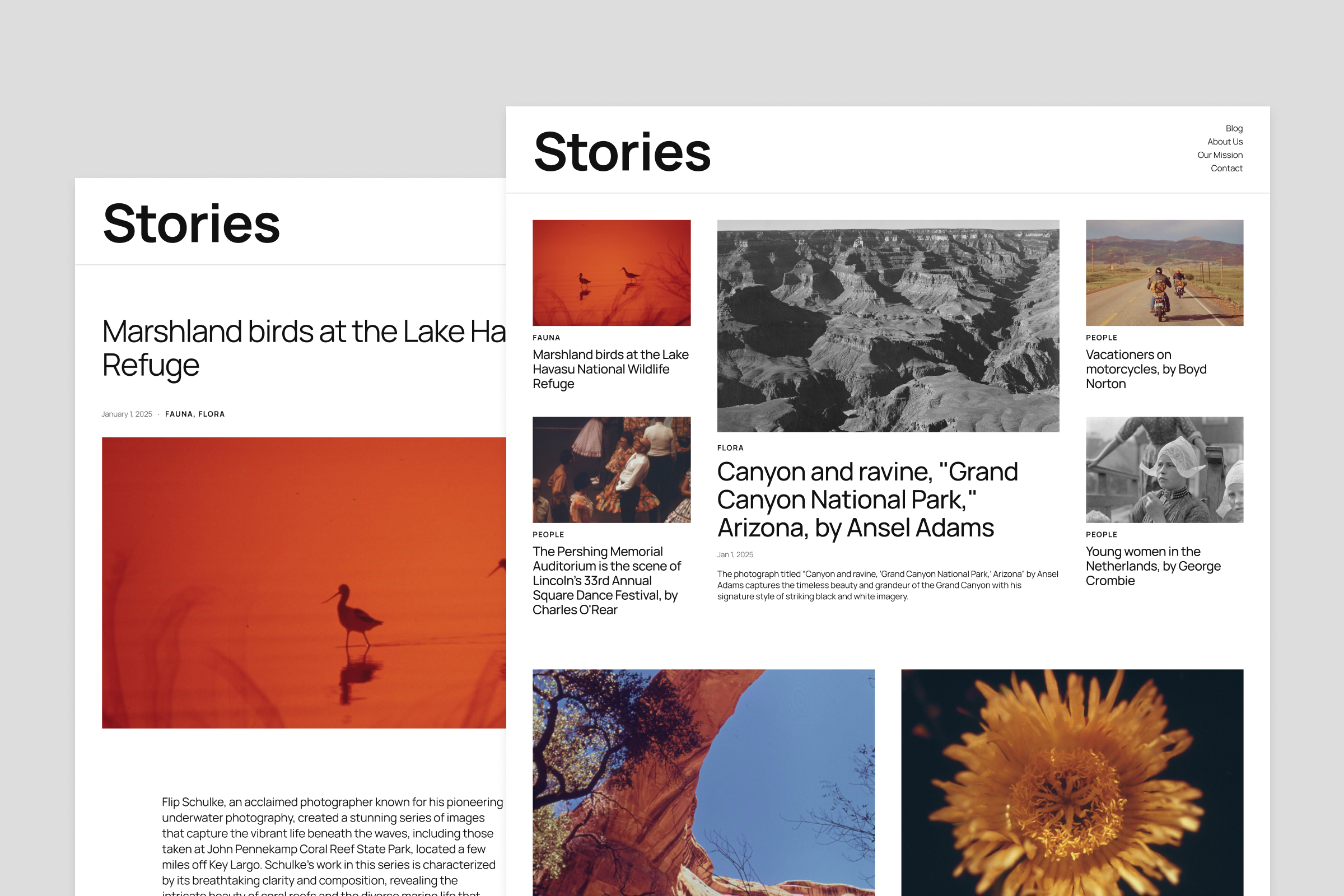 Preview of the News blog templates in Twenty Twenty-Five.